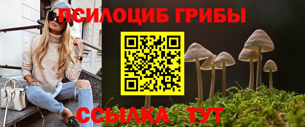 Сафоново  Псилоцибиновые грибы мухоморы  Псилоцибиновые грибы мицелий  Вход с VPN 